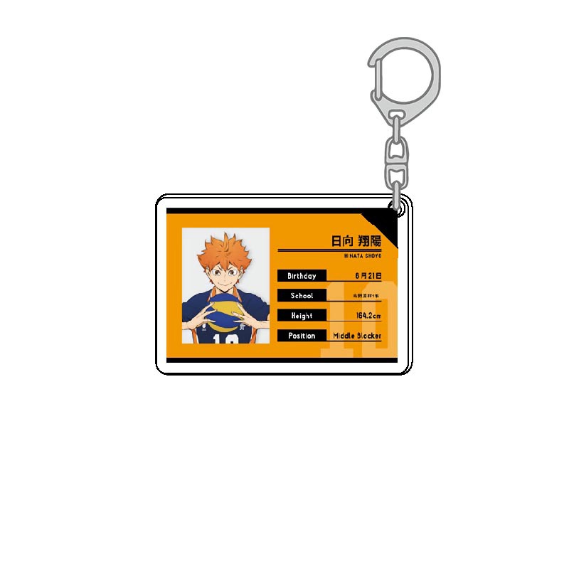 Haikyuu Acrylic Keychain Kawai - огляд і ціна Model Kit Accessories