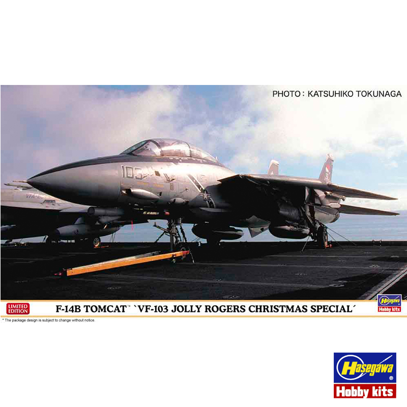 Static Assembled Model Hasegaw - огляд і ціна Model Kit Hasegawa